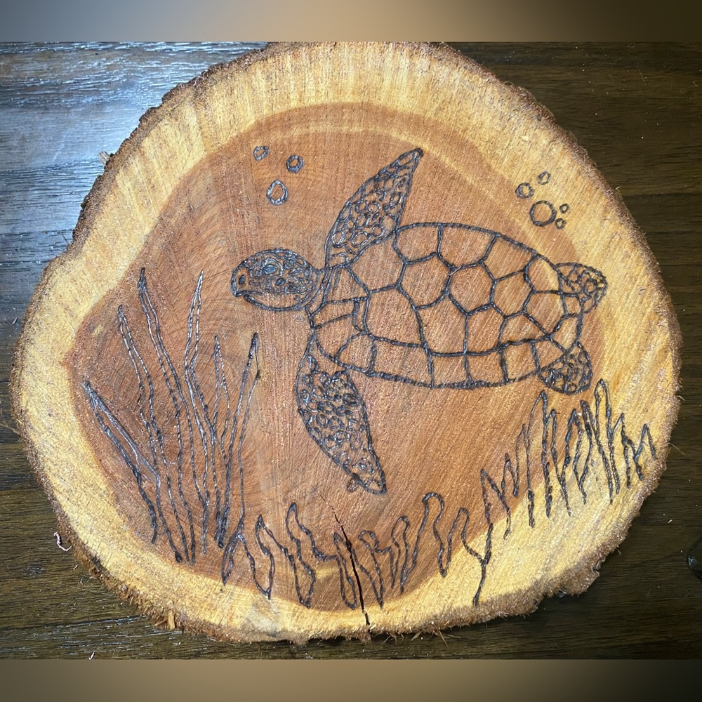 Turtle natural cedar wood burning art , endangered animal